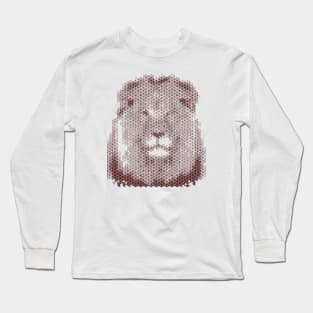 Kumiko Lion Animal Portrait Long Sleeve T-Shirt